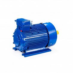 Электродвигатель 5МТКН 200 LB6 30/1000 IM1003