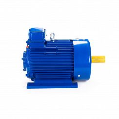 Электродвигатель 5МТКН 311-8 7,5/750 IM1001