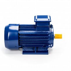 Электродвигатель 5АИ 90 L2 3/3000 IM1081